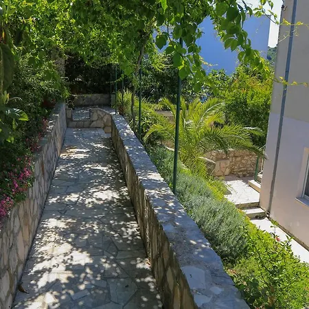 Guest house Guesthouse Aurora 3*